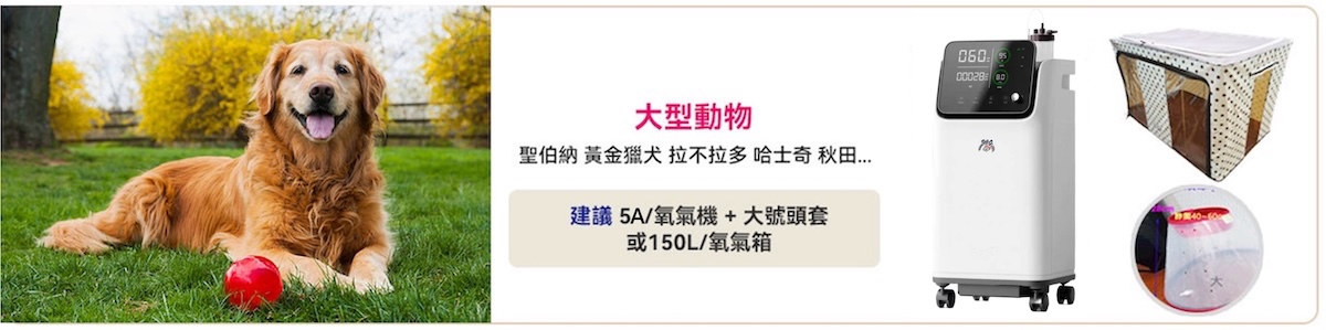 4new2 peto2 寵物氧氣機, 寵物氧氣機, 寵物製氧機, 寵物活氧機, 寵物氧氣箱, 寵物氧氣房, 寵物血氧儀, 貓咪氧氣機, 狗狗氧氣機, 寵物專用氧氣機, 兔子氧氣機, 老鼠氧氣機, 寵物醫療專用氧氣機